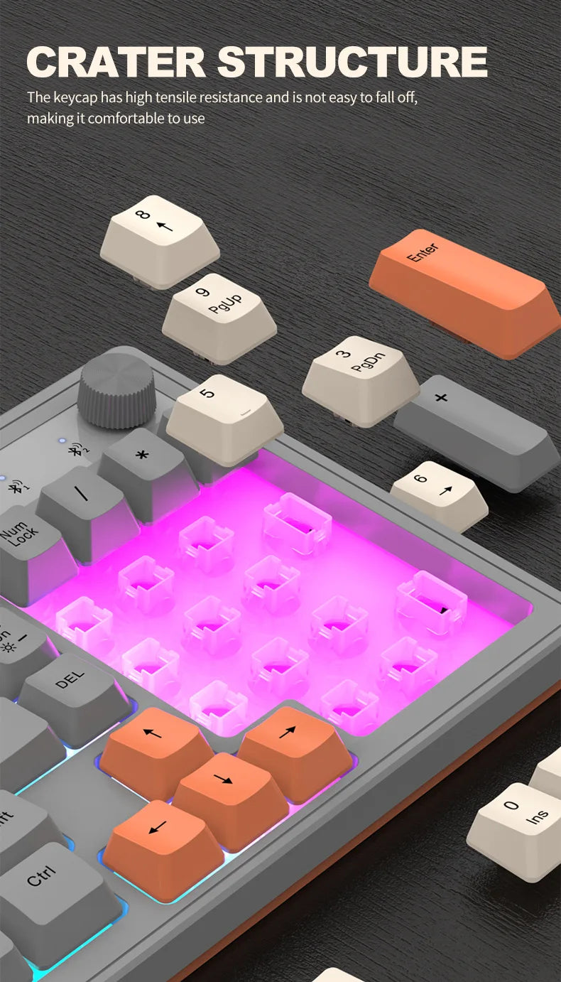 FoxyType RGB Wireless Keyboard – Dual Mode Bluetooth 5.0 + 2.4G