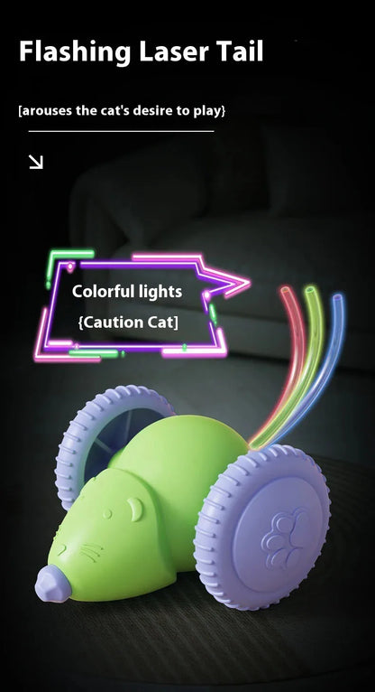SONGYI Interactive Electric Mouse Cat Toy
